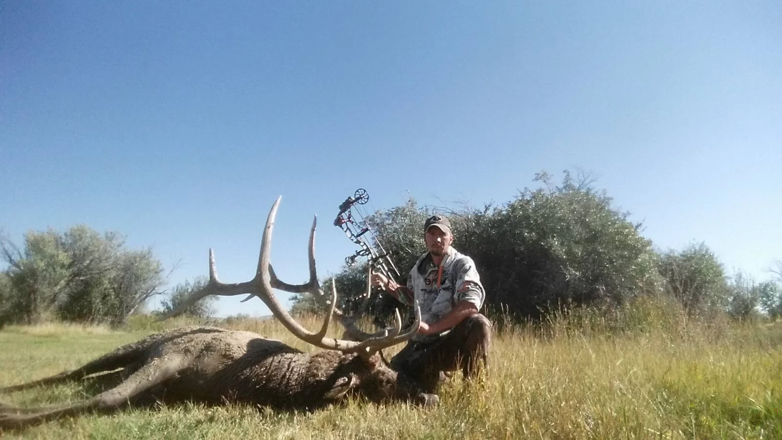 H5 Ranch Colorado hunting cattle and alfalfa with large elk